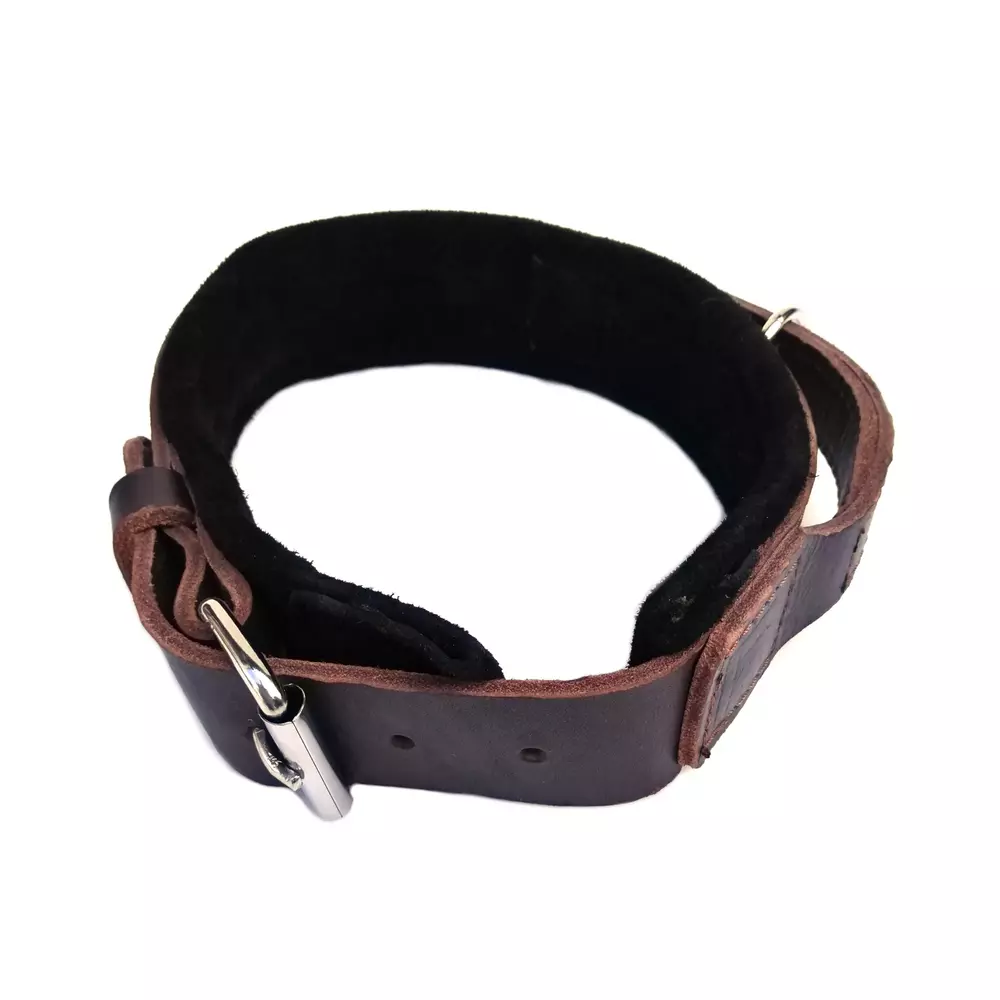 Leather dog collar with soft lining 5cm