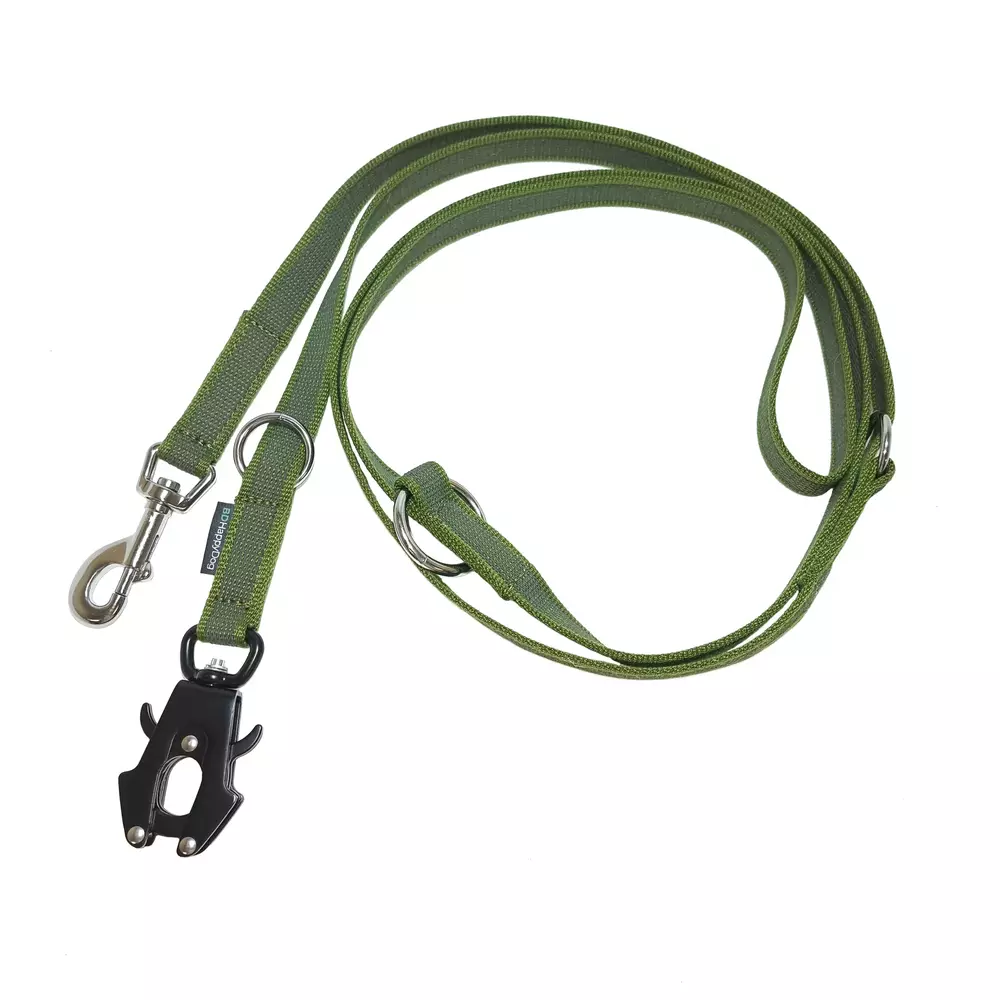 Gumowana smycz przepinana FROG dla psa 2.5m, miękka taśma