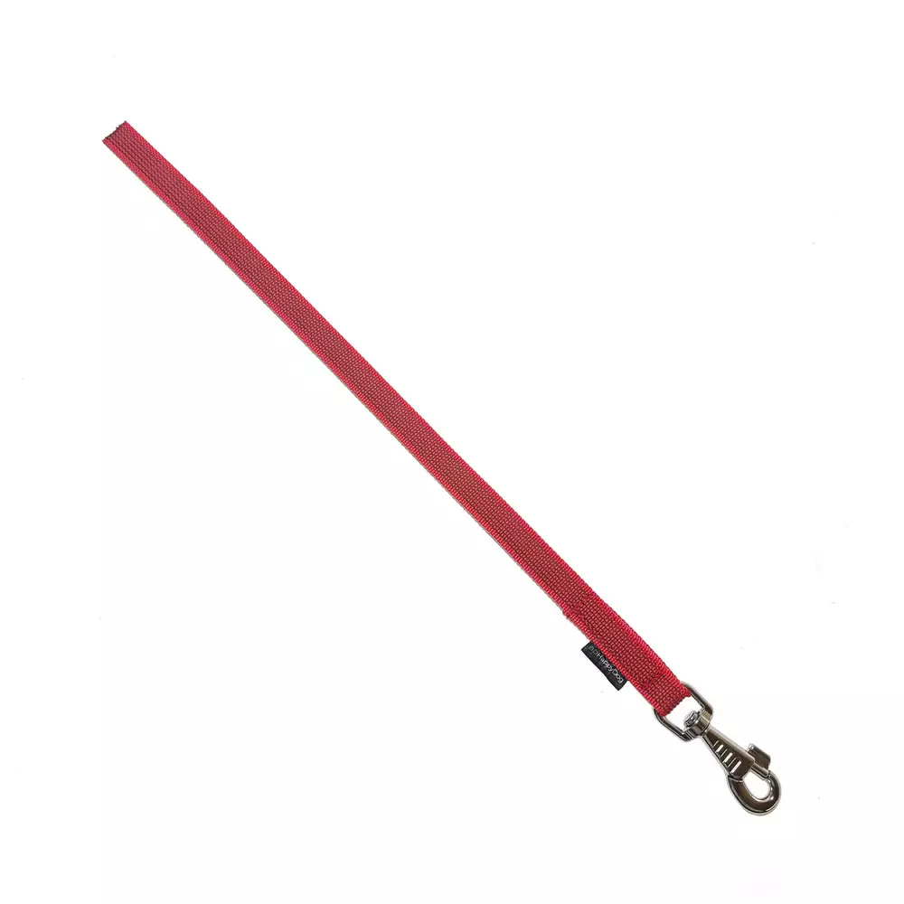Gumowana smycz sportowa dla psa 50cm, sztywna taśma, karabińczyk FROG
