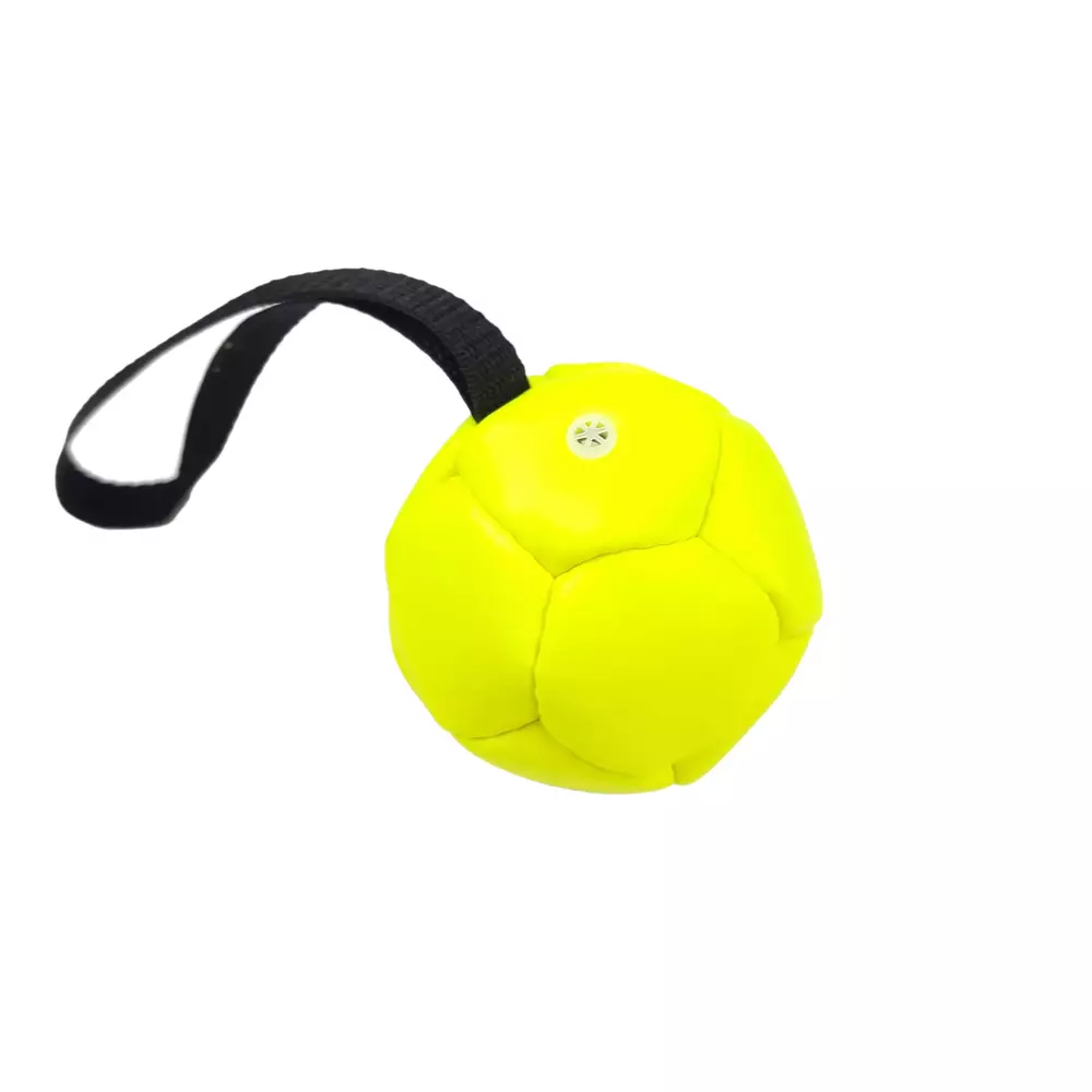 Eco-leather ball with squeak and handle