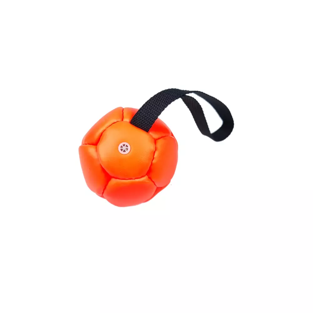 Eco-leather ball with squeak and handle