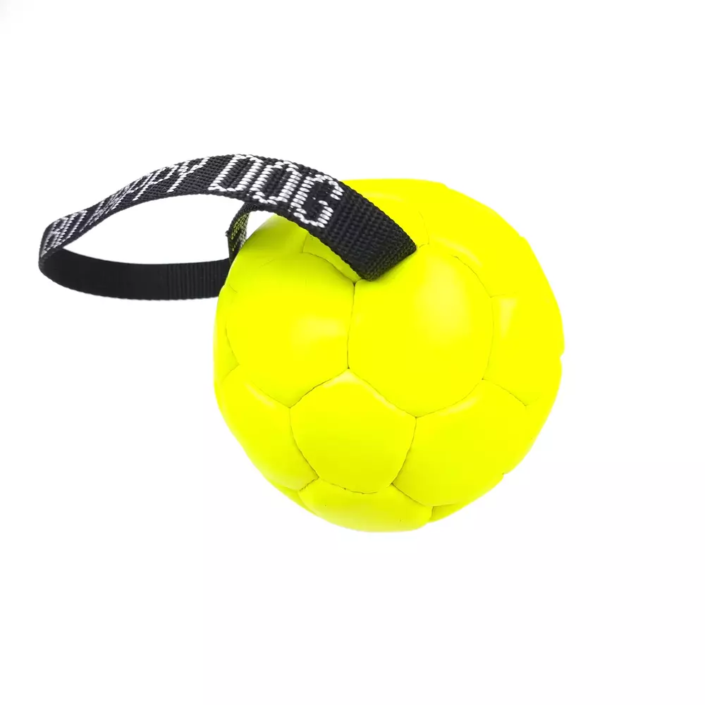 Eco-leather ball with handle
