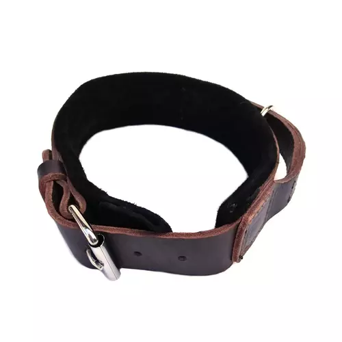 Leather dog collar with soft lining and handle 5cm