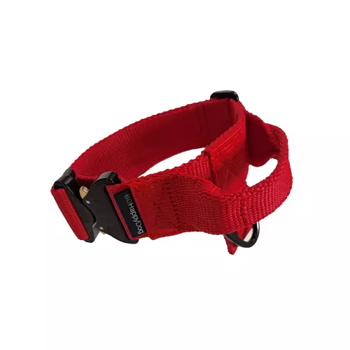 Tape dog collar with handle, COBRA 4cm