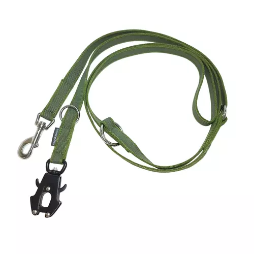Gumowana smycz przepinana FROG dla psa 2.5m, taśma sztywna