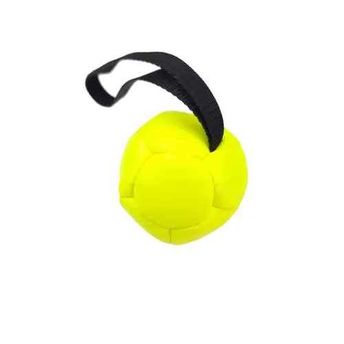 Eco-leather ball with handle