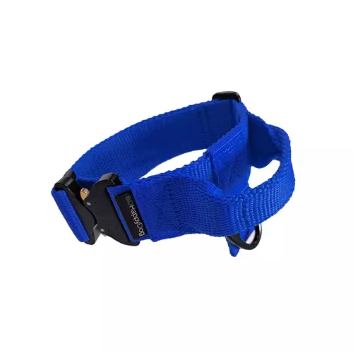 Tape dog collar with handle 4cm