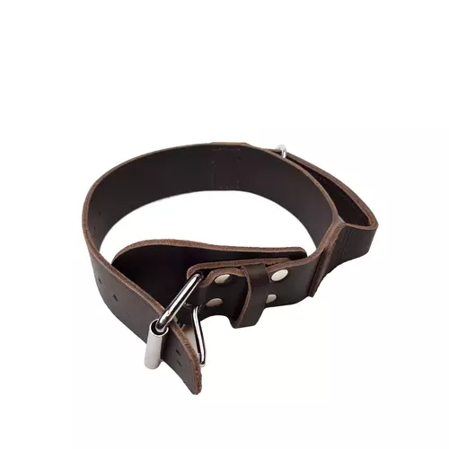 Greased leather dog collar with handle 5cm