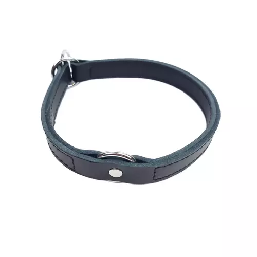 Leather half-clamp dog collar 2,5cm